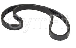 Primary Drive Belt Kit, Cybex Arc Trainer 610A