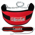 Dipping Belt Weight Lifting & Chain