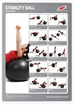 fitball poster