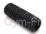 Life Fitness Grub Screw fits Cross Trainer Pulley Wheel