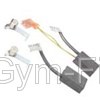 Cybex Treadmill Model 530T Drive Motor Brush & Spring Set fits Leeson Motor 110 + 220v