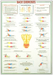 Back Exercises Chart