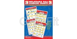 Gym Ball  Poster set of  4   " Do it Right " A1 Square