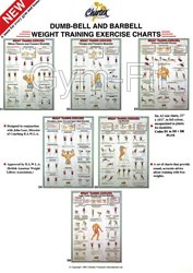 Weight Training Poster set of 6  " Do it Right " A1 Square
