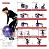 Gym Ball Instruction Chart Poster Beginner Intermediate & Advanced Set of 3