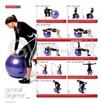 Gym Ball Instruction Chart Poster Beginner Intermediate & Advanced Set of 3