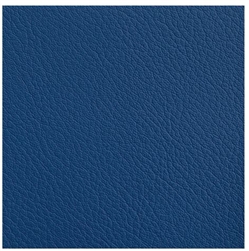BLUE GYM UPHOLSTERY MATERIAL BY THE ROLL " SPECIALLY DESIGNED FOR THE GYM INDUSTRY " 15 LINEAR MTRS